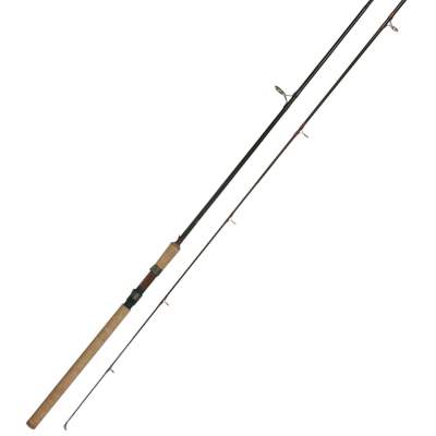 Roy Fishers Adrenalin-X Spin 300 3m - 20-60g - 2tlg - 310g