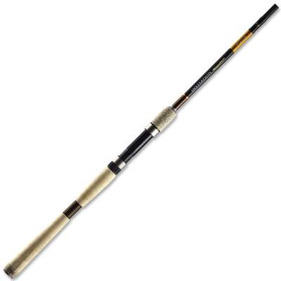 Pezon & Michel Inivation Rainbow Touch 210 2,1m - 10-30g - 2tlg - 133g