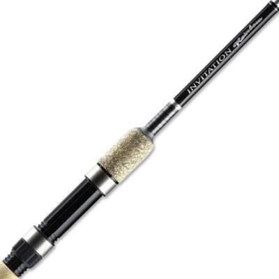 Pezon & Michel Inivation Rainbow Spoon&Spin 210 2,1m - 8-35g - 2tlg - 133g