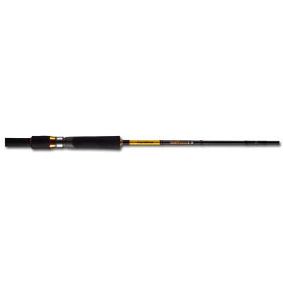 Pezon & Michel Concept Street Fishing Spinning, S-M 210, 2,1m - 5-20g - 2tlg - 119g