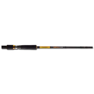 Pezon & Michel Concept Street Fishing Spinning, S-MH 240 2,4m - 7-28g - 2tlg - 133g