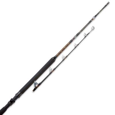 Shimano Beastmaster AX Boat 1015 2,21m - 10-15lbs - 2tlg - 563g