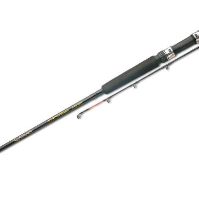 Shimano Catana AX Downrigger 240MH 2,4m - 2tlg - 339g