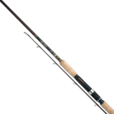 Shimano Beastmaster BX Spinning 240XH 2,4m - 0-150g - 2tlg - 208g