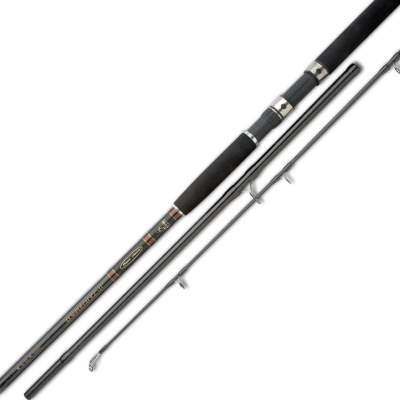 Shimano Beastmaster AX Super Cat, 2,79/ 3,35m - 0-300g - 2tlg - 308g