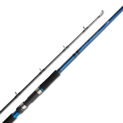 Shimano Nexave CX Spinning Game Type 300 H 3m - 21-125g - 2tlg - 300g