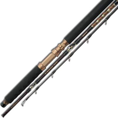 Shimano Antares BX Braid Boat 2030 2,29m - 20-30lbs - 2tlg - 432g