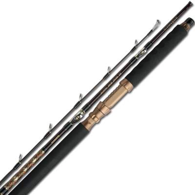 Shimano Antares BX Braid Boat 3050 2,29m - 30-50lbs - 2tlg - 460g
