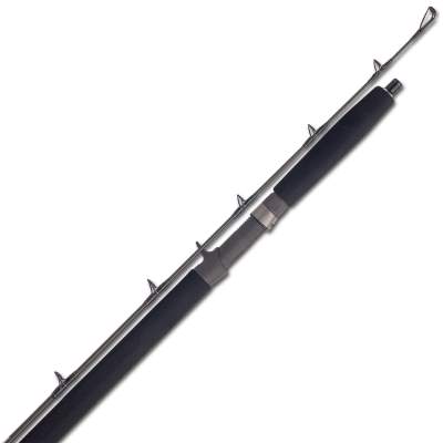Shimano Speedmaster Jigging AX BOAT 183HS 1,83m - 160-420g - 2tlg - 320g