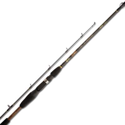 Shimano Beastmaster Kabura Jigging B606M, 1,98m - 0-100g - 2tlg - 157g