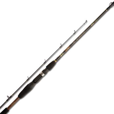 Shimano Beastmaster Kabura Jigging S706H 2,29m - 0-200g - 2tlg - 211g