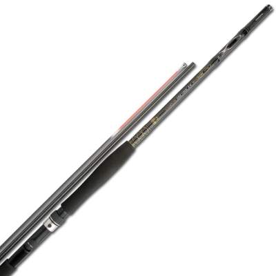 Shimano Beastmaster AX Boat Inner Guides 200 2,4m - 0-200g - 2tlg - 250g