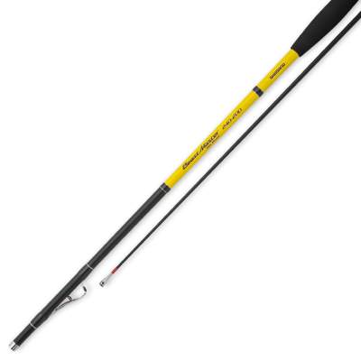 Shimano Beastmaster BX Boat Inner Guide 150G 2,4m - 2tlg - 222g