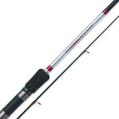 Shimano Bassterra BX EV S66H 1,98m - 10-40g - 2tlg - 166g