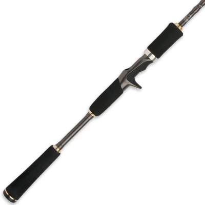 Shimano Biomaster Casting 6'6 (198CM), 1,98m - 10-35g - 2tlg - 122g