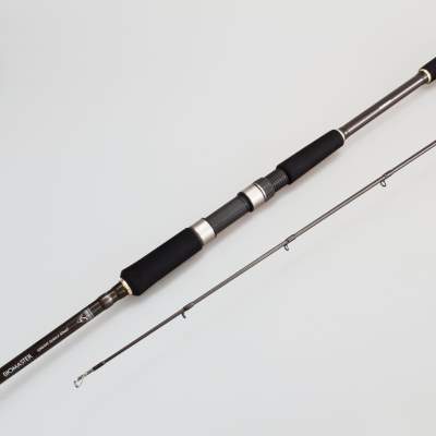 Shimano Biomaster S86XH Select Shad (Bodden Spezial) 8'6 2,6m - 34-135g - 222g