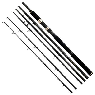 Shimano Beastmaster STC Shore-Boat Twin Tip Reiserute 3,00/2,40m - 28-122g - 150-300g - 6tlg - 329g