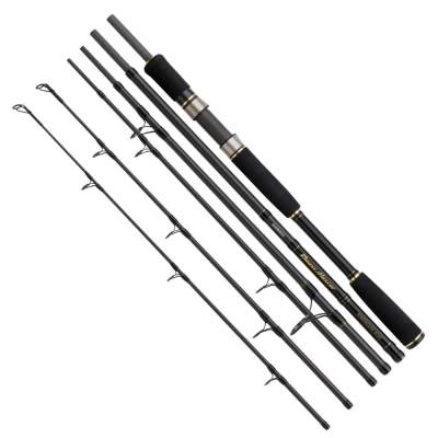 Shimano Beastmaster STC Powergame-Boat Twin Tip Reiserute 2,50/2,00m - 40-120g - 150-300g - 6tlg - 255g