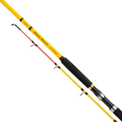 Shimano Beastmaster CX 270 H 2,7m - 150-300g - 2tlg - 419g