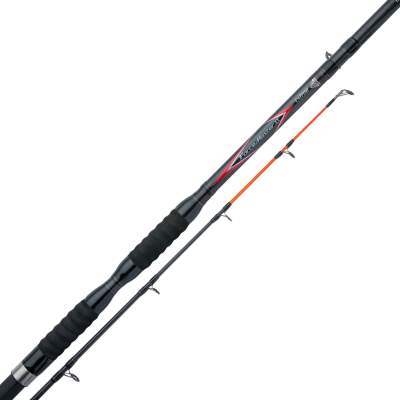 Shimano Forcemaster AX Cat Fish 300 H, 3m - 0-500g - 2tlg - 585g