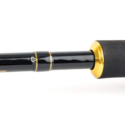 Shimano Beastmaster DX Feeder 13' 150G 3,96m - 0-150g - 3tlg - 340g