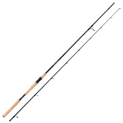 Shimano Beastmaster EX Spinning 240XHP 2,40m - 120g - 174g