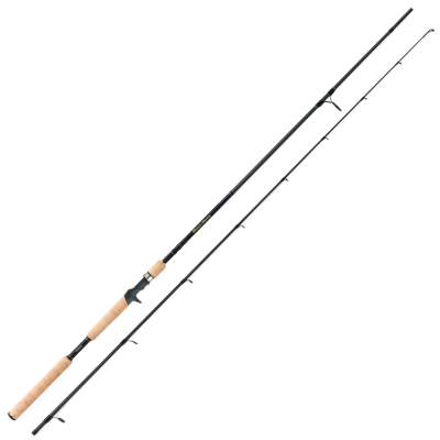 Shimano Beastmaster EX Casting 210H 2,10m - 30-70g - 136g