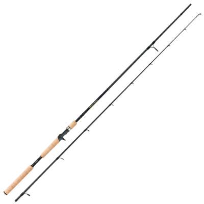 Shimano Beastmaster EX Casting 240MH, 2,40m - 15-50g - 166g