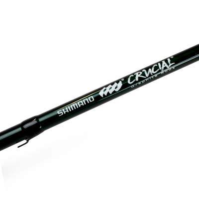 Crucial Bass SPG 66MHB + Nasci FC Angelset