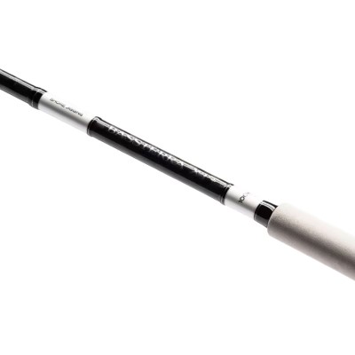 Shimano Bassterra XT+ A Shore Jigging 2,9m - 20-80g - 235g