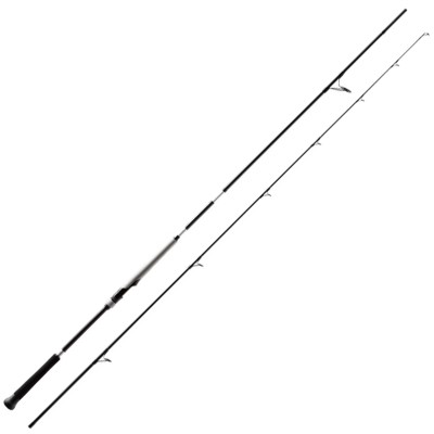 Shimano Bassterra XT+ A Shore Jigging 2,9m - 20-80g - 235g