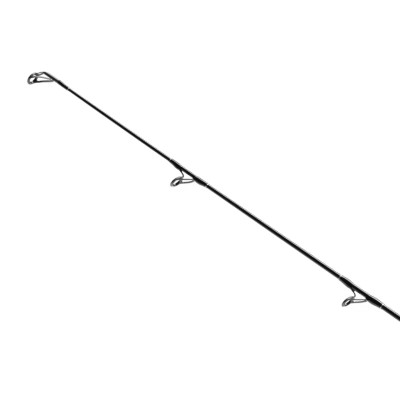 Shimano Bassterra XT+ A Shore Jigging 2,9m - 20-80g - 235g