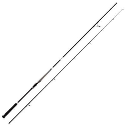 Shimano Bassterra XT+ A Shore Jigging 3,05m - 30-100g - 276g