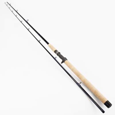 G-LOOMIS GL2 SAR1363C Neptune Casting Classic Salmon 11,4 3/8- 1oz, 3,42m - 11-28g - 2tlg