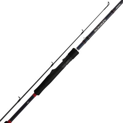 Shimano Aernos AX Casting, 2,29m - 56-135g - 1+1tlg