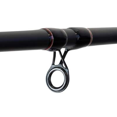 Shimano Aernos AX Casting 2,29m - 56-135g - 1+1tlg