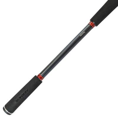 Shimano Aernos AX Casting 2,29m - 56-135g - 1+1tlg