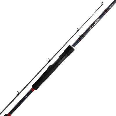 Shimano Aernos AX Spinning 3,00m - 14-56g - 2tlg