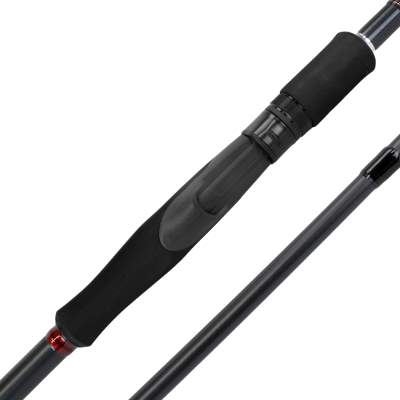 Shimano Aernos AX Spinning 3,00m - 14-56g - 2tlg
