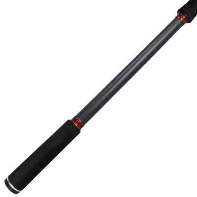 Shimano Aernos AX Spinning 3,00m - 14-56g - 2tlg