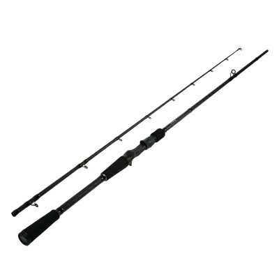 DLT Vivid Jerkbait - Baitcastrute 2,00m - 50-140g