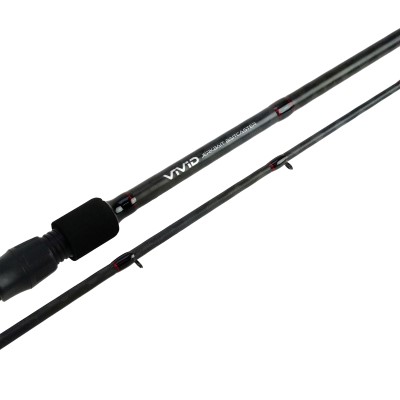 DLT Vivid Jerkbait - Baitcastrute 2,00m - 50-140g