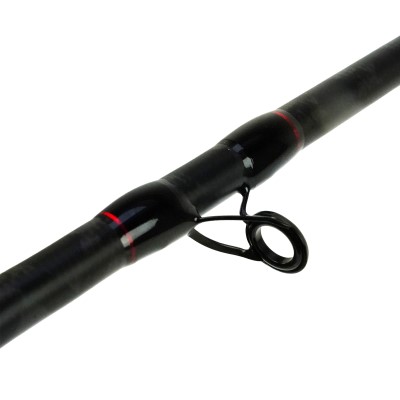 DLT Vivid Jerkbait - Baitcastrute 2,00m - 50-140g