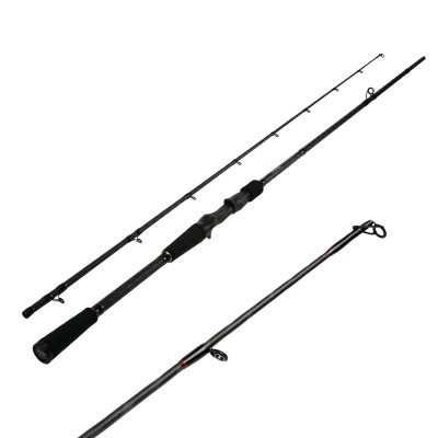 DLT Vivid Jerkbait - Baitcastrute 2,00m - 50-140g