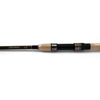 X2 Specimen 13ft 3,9m - 1,5-lbs - 2tlg - 310g