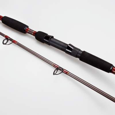 X2 Balista Catfish 285, 2,85m - 300g - 2tlg. - 410g