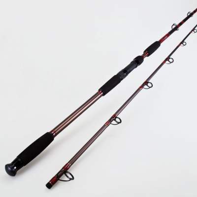 X2 Balista Catfish 285, 2,85m - 300g - 2tlg. - 410g