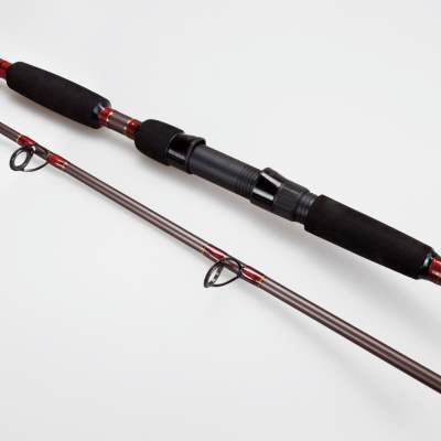 X2 Balista Catfish 320 3,20m - 300g - 2tlg. - 490g