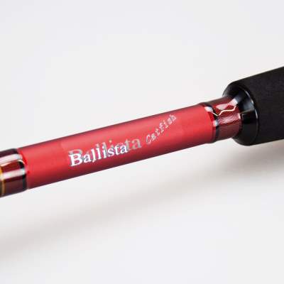 X2 Balista Catfish 320 3,20m - 300g - 2tlg. - 490g
