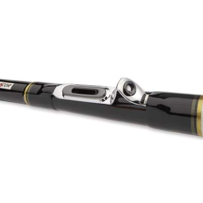 Cormoran Seacor BLack D Interline 2.10m 200-700g 2,1m - 200-700g - 2tlg - 440g